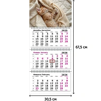 Календарь настенный 3-х блочный 2026 Attache, Котенок, 305х675, 80г фото Календарь настенный 3-х блочный 2026 Attache, Котенок, 305х675, 80г