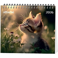 Календарь-домик настольный 2026 Atache, Котенок, 120х110 фото Календарь-домик настольный 2026 Atache, Котенок, 120х110