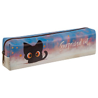 Пенал мягкий 200*55*40 MESHU "Surprised Cat", искусственная кожа фото Пенал мягкий 200*55*40 MESHU "Surprised Cat", искусственная кожа