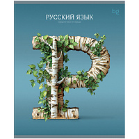 Тетрадь предметная 48л. BG "Заглавные-главные" - Русский язык, эконом фото Тетрадь предметная 48л. BG "Заглавные-главные" - Русский язык, эконом