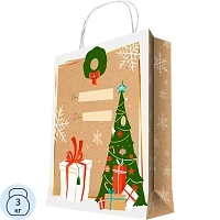 Пакет из крафт-бумаги, для сувенирной продукции 150 г/м2 26x33x10см 93168FE