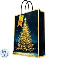 Пакет подарочный для сувенирной продукции 140 г/м2 17,8x22,9x9,8см 95690FE