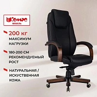 Кресло БР Комус Мебель EChair 329 кожа,черный, дерево