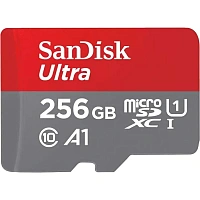 Карта памяти SanDisk SD SDXC Cl.10 UHS-I U1 Ultra100MB/s SDSDUNR-256G-GN3IN