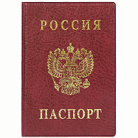 Обложка для паспорта с гербом, ПВХ, бордовая, ДПС, 2203.В-103 фото Обложка для паспорта с гербом, ПВХ, бордовая, ДПС, 2203.В-103