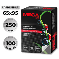 Пленка-пакет для ламинирования ProMega office А8 250 мкм глянцевая (100 штук в упаковке) фото Пленка-пакет для ламинирования ProMega office А8 250 мкм глянцевая (100 штук в упаковке)
