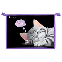 Папка для труда на молнии BRAUBERG А4, 2 отделения, органайзер, "Sleeping kitten", 273401 фото Папка для труда на молнии BRAUBERG А4, 2 отделения, органайзер, "Sleeping kitten", 273401