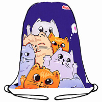 Мешок для обуви ПИФАГОР, 1 отделение, 42х34 см, "Cats greetings", 272382 фото Мешок для обуви ПИФАГОР, 1 отделение, 42х34 см, "Cats greetings", 272382