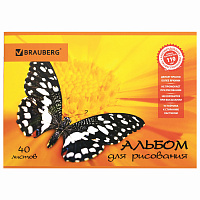 Альбом для рисования, А4, 40 листов, скоба, выборочный лак, BRAUBERG, 202х285 мм, "Летняя феерия" (1 вид), 103434 фото Альбом для рисования, А4, 40 листов, скоба, выборочный лак, BRAUBERG, 202х285 мм, "Летняя феерия" (1 вид), 103434