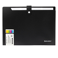 Папка-органайзер на кнопке 5 отделений, BRAUBERG "Extra", А4, черная с белым, 274094