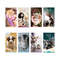 Блокнот А6 24л. на скрепке ArtSpace "Cute animals фото Блокнот А6 24л. на скрепке ArtSpace "Cute animals