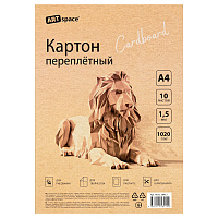 Картон переплетный А4, ArtSpace, 10л., толщина 1,5мм, в пакете фото Картон переплетный А4, ArtSpace, 10л., толщина 1,5мм, в пакете