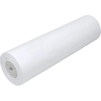 Бумага широкоформатная Evolution XES Premium EXTRA Paper 297 мм x 175 м 75 г/кв.м (2195029) фото Бумага широкоформатная Evolution XES Premium EXTRA Paper 297 мм x 175 м 75 г/кв.м (2195029)