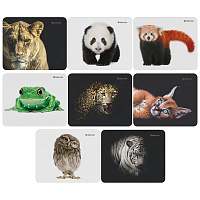 Коврик для мыши Defender Wild Animals (рисунок в ассортименте, 50803) фото Коврик для мыши Defender Wild Animals (рисунок в ассортименте, 50803)