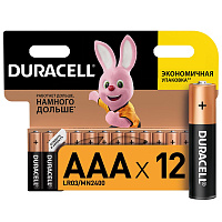 Батарейка ААА мизинчиковая Duracell (12 штук в упаковке) фото Батарейка ААА мизинчиковая Duracell (12 штук в упаковке)
