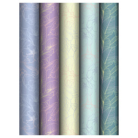 Упаковочная бумага глянц. 70*100см, MESHU "Grace twigs", 80 г/м2, ассорти, 5 дизайнов фото Упаковочная бумага глянц. 70*100см, MESHU "Grace twigs", 80 г/м2, ассорти, 5 дизайнов
