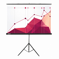 Экран Cactus Triscreen CS-PST-180x180, 180x180 см, 1:1, напольный, черный фото Экран Cactus Triscreen CS-PST-180x180, 180x180 см, 1:1, напольный, черный