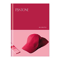 Записная книжка А5 80л. BG "Viva magenta", soft-touch ламинация, блок в точку фото Записная книжка А5 80л. BG "Viva magenta", soft-touch ламинация, блок в точку