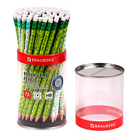 Карандаш чернографитный BRAUBERG "GREEN", 1 шт., HB, с ластиком, пластиковый, ассорти, 181746 фото Карандаш чернографитный BRAUBERG "GREEN", 1 шт., HB, с ластиком, пластиковый, ассорти, 181746