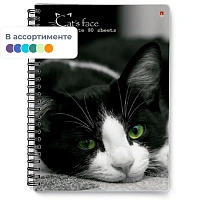 Блокнот Альт Престиж А6 80 листов в клетку на спирали (96х134 мм) (артикул производителя 3-80-032)