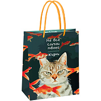 Пакет подарочный 18*23*10см MESHU "Moody cat", глянцевая ламинация фото Пакет подарочный 18*23*10см MESHU "Moody cat", глянцевая ламинация