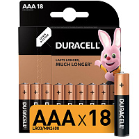 Батарейка ААА мизинчиковая Duracell (18 штук в упаковке) фото Батарейка ААА мизинчиковая Duracell (18 штук в упаковке)