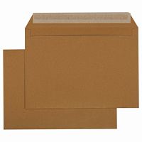 Конверты С4 (229х324 мм) КРАФТ, отрывная лента, 100 г/м2, КОМПЛЕКТ 250 шт., 122135 фото Конверты С4 (229х324 мм) КРАФТ, отрывная лента, 100 г/м2, КОМПЛЕКТ 250 шт., 122135