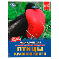 Энциклопедия Умка 197*255, "Птицы Красной книги", 48стр. фото Энциклопедия Умка 197*255, "Птицы Красной книги", 48стр.