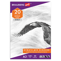 Папка для рисования БОЛЬШОГО ФОРМАТА А3, 20 л., 160 г/м2, BRAUBERG, 297х420 мм, "Орел", 125228 фото Папка для рисования БОЛЬШОГО ФОРМАТА А3, 20 л., 160 г/м2, BRAUBERG, 297х420 мм, "Орел", 125228