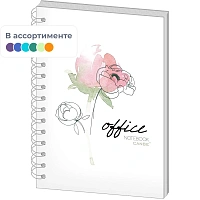 Бизнес-тетрадь Canbe Office Flowers А5 60 листов в клетку на спирали (140х185 мм) фото Бизнес-тетрадь Canbe Office Flowers А5 60 листов в клетку на спирали (140х185 мм)