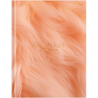 Бизнес-блокнот А5, 80л., BG "Peach Fuzz", soft-touch ламинация, тиснение фольгой фото Бизнес-блокнот А5, 80л., BG "Peach Fuzz", soft-touch ламинация, тиснение фольгой