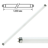 Лампа люминесцентная PHILIPS TL-D 36W/33-640, 36 Вт, цоколь G13, в виде трубки 120 см фото Лампа люминесцентная PHILIPS TL-D 36W/33-640, 36 Вт, цоколь G13, в виде трубки 120 см
