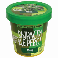 Набор для выращивания растений ВЫРАСТИ ДЕРЕВО! "Мята яблочная" (банка, грунт, семена), zk-093 фото Набор для выращивания растений ВЫРАСТИ ДЕРЕВО! "Мята яблочная" (банка, грунт, семена), zk-093