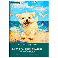 Бумага для гуаши и акрила А3 10 л., 235 г/м2, 297х420 мм, в папке, BRAUBERG ART CLASSIC, "Море", 117734 фото Бумага для гуаши и акрила А3 10 л., 235 г/м2, 297х420 мм, в папке, BRAUBERG ART CLASSIC, "Море", 117734