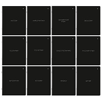 Тетради предметные, КОМПЛЕКТ 12 ПРЕДМЕТОВ, 48 л., матовая ламинация, BRAUBERG, "MINIMAL", 404831 фото Тетради предметные, КОМПЛЕКТ 12 ПРЕДМЕТОВ, 48 л., матовая ламинация, BRAUBERG, "MINIMAL", 404831