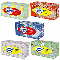 Салфетки косметические Zewa Everyday 2-слойные (250 штук в упаковке)