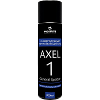 Пятновыводитель универсальный Pro-Brite Axel-1 General Spotter 0.3 л фото Пятновыводитель универсальный Pro-Brite Axel-1 General Spotter 0.3 л