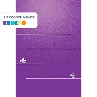 Блокнот А7 40 листов зеленый/фиолетовый в линейку на скобе (75х100 мм) фото Блокнот А7 40 листов зеленый/фиолетовый в линейку на скобе (75х100 мм)