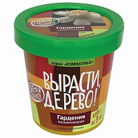 Набор для выращивания растений ВЫРАСТИ ДЕРЕВО! "Гардения" (банка, грунт, семена), zk-044 фото Набор для выращивания растений ВЫРАСТИ ДЕРЕВО! "Гардения" (банка, грунт, семена), zk-044
