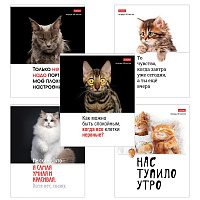 Тетрадь А5 48 л., HATBER скоба, клетка, обложка картон, "Котоюмор" (микс в спайке), 079790, 48Т5В1 фото Тетрадь А5 48 л., HATBER скоба, клетка, обложка картон, "Котоюмор" (микс в спайке), 079790, 48Т5В1