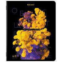 Тетрадь предметная PIGMENT 48 л., глянцевый УФ-лак, ОБЩЕСТВОЗНАНИЕ, клетка, подсказ, BRAUBERG, 404759 фото Тетрадь предметная PIGMENT 48 л., глянцевый УФ-лак, ОБЩЕСТВОЗНАНИЕ, клетка, подсказ, BRAUBERG, 404759