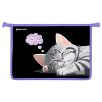 Папка для труда на молнии BRAUBERG А4, 2 отделения, органайзер, "Sleeping kitten", 273401 фото Папка для труда на молнии BRAUBERG А4, 2 отделения, органайзер, "Sleeping kitten", 273401