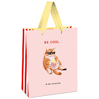 Пакет подарочный 11*14*6,5см MESHU "Be cool", выб. лак, матовая ламинация фото Пакет подарочный 11*14*6,5см MESHU "Be cool", выб. лак, матовая ламинация
