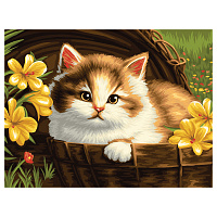 Картина по номерам на холсте ТРИ СОВЫ "Котенок в корзине", 30*40, с акриловыми красками и кистями фото Картина по номерам на холсте ТРИ СОВЫ "Котенок в корзине", 30*40, с акриловыми красками и кистями