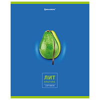 Тетрадь предметная "AVOCADO" 48 л., глянцевый лак, ЛИТЕРАТУРА, линия, подсказ, BRAUBERG, 404281 фото Тетрадь предметная "AVOCADO" 48 л., глянцевый лак, ЛИТЕРАТУРА, линия, подсказ, BRAUBERG, 404281