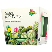 Набор для выращивания растений МАГИЯ ЦВЕТОВ "Кактусы микс" (горшок, грунт, семена), mf-003 фото Набор для выращивания растений МАГИЯ ЦВЕТОВ "Кактусы микс" (горшок, грунт, семена), mf-003