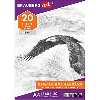 Папка для рисования А4, 20 л., 160 г/м2, BRAUBERG, 210х297 мм, "Орел", 125230 фото Папка для рисования А4, 20 л., 160 г/м2, BRAUBERG, 210х297 мм, "Орел", 125230