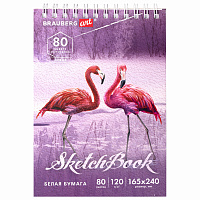 Скетчбук, белая бумага 120 г/м2 165х240 мм, 80 л., гребень, твердая обложка, BRAUBERG ART DEBUT, 112990 фото Скетчбук, белая бумага 120 г/м2 165х240 мм, 80 л., гребень, твердая обложка, BRAUBERG ART DEBUT, 112990