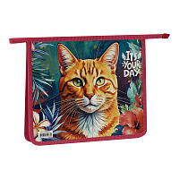 Папка для тетрадей 1 отделение, ArtSpace "The Red Cat", А5, пластик, на молнии фото Папка для тетрадей 1 отделение, ArtSpace "The Red Cat", А5, пластик, на молнии
