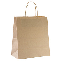 Крафт пакет бумажный бурый с кручеными ручками 22x25x12 см (250 штук в упаковке) фото Крафт пакет бумажный бурый с кручеными ручками 22x25x12 см (250 штук в упаковке)